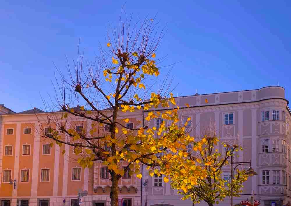 Herbstlicher Pfarrplatz, Linz