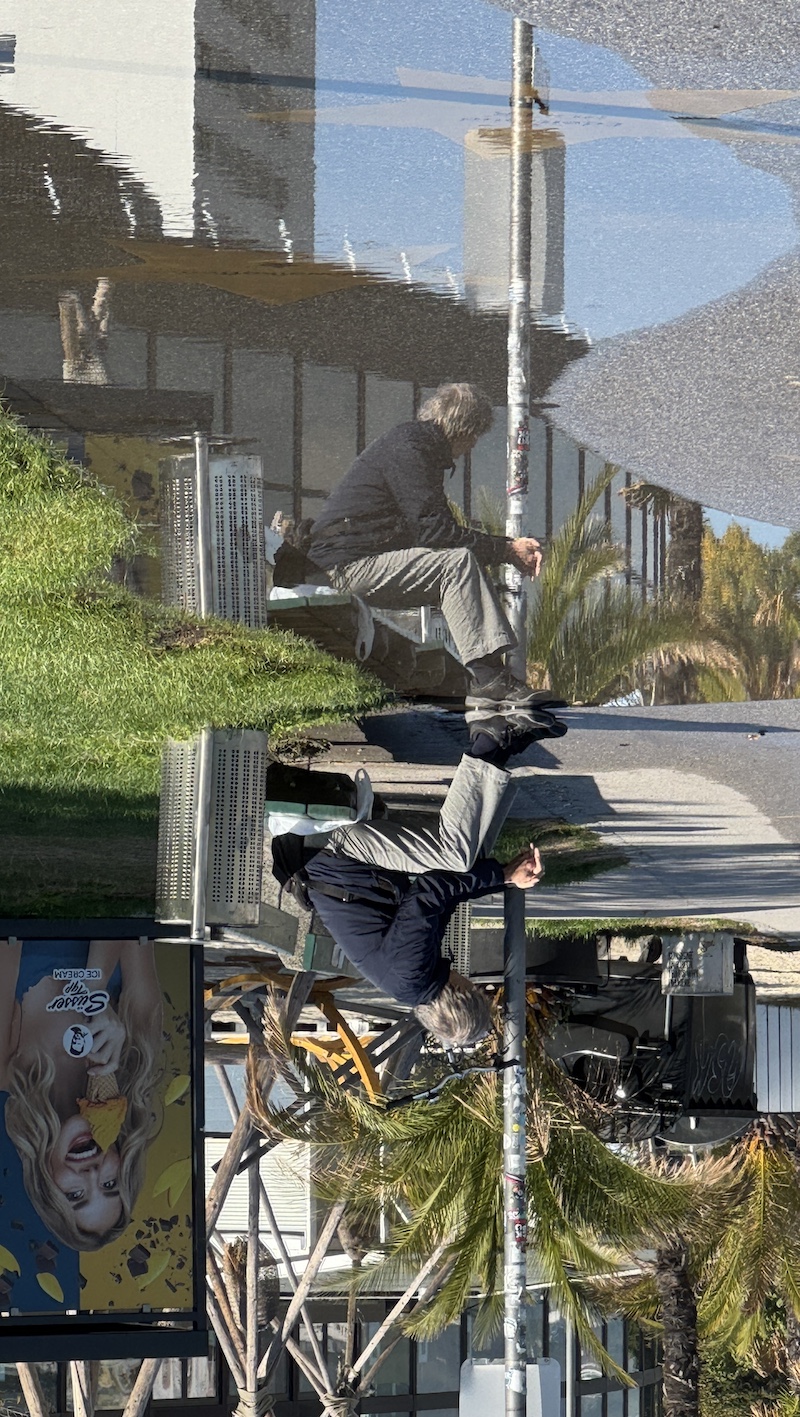 Spiegelung im Bruckner Park
