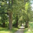 allee