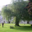 Malkurs KASTNER Geras 2010 (89)