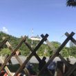 MalerInnen hinter Gittern?