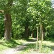 Alles Allee! (Foto: Roswitha)