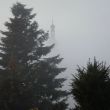 Geras im Nebel