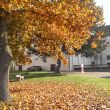 Herbstfarben (Foto: Roswitha Panholzer)