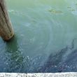 DSC01759.JPG