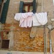 DSC01764.JPG