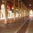 DSC01785.JPG