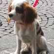 IMAG0655.jpg